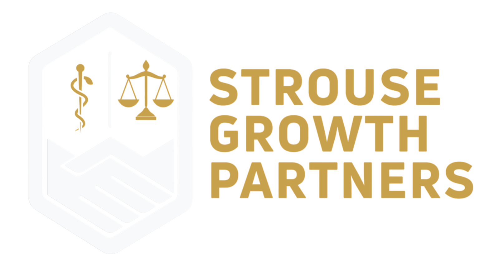 Strouse Growth Partners logo, growth marketing agency for law firms and medical practices
